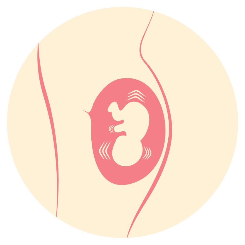 Fetal movement